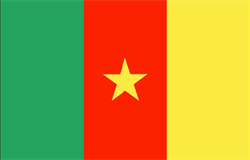Cameroon flag, corruption