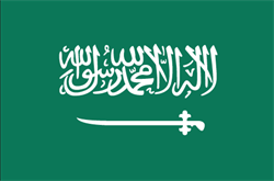 Corruption in Saudi Arabia - flag