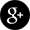 Google+